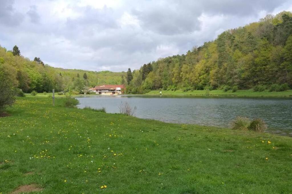 Le Repaire Des Renards Vallee De Rabais Virton Exterior photo